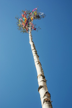 arbre de mai